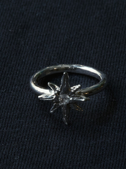 Wish Ring