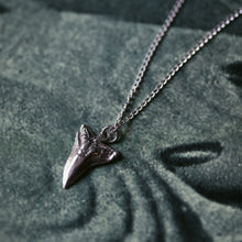 Load image into Gallery viewer, Shark Tooth Pendant
