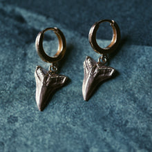 Load image into Gallery viewer, Shark Tooth Earrings
